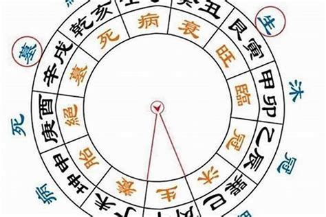 土金傷官|命理解析——八字中的“傷官”何時可以“見官”